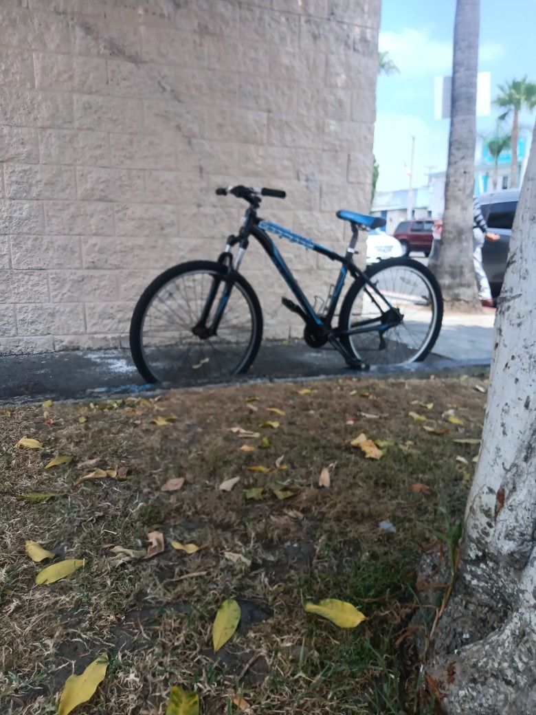 Specialized Bike