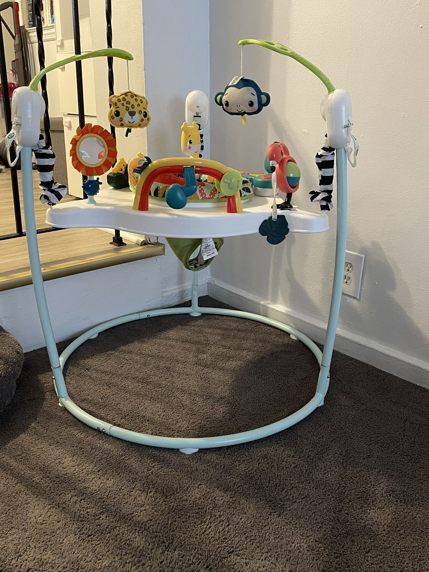 Fisher Price Bouncer