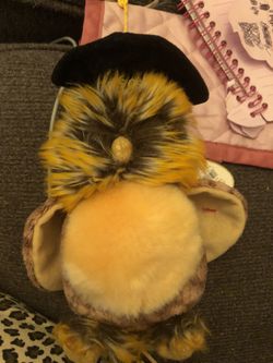 Smartest beanie baby