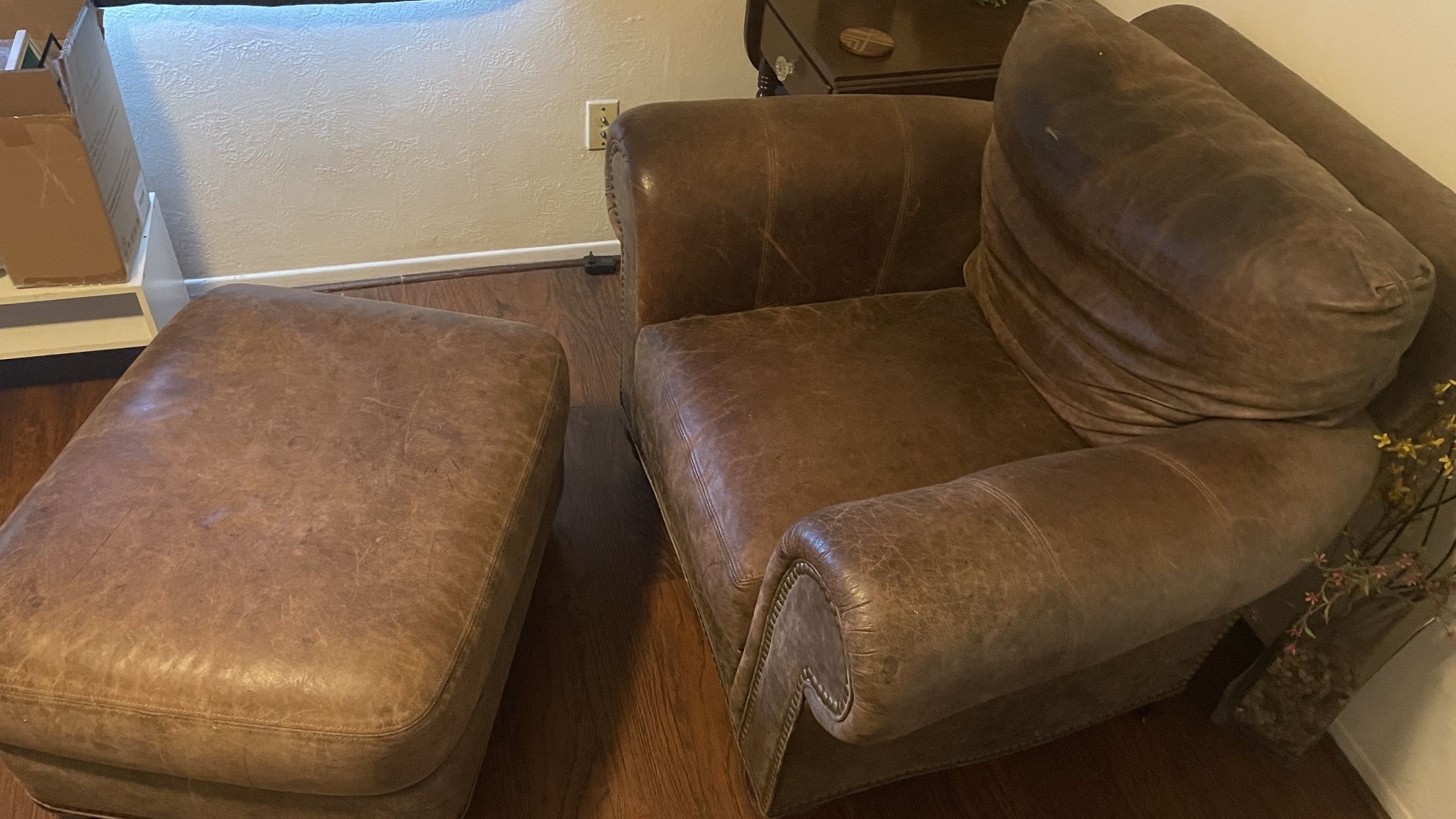 Sofa Chair And Ottoman 