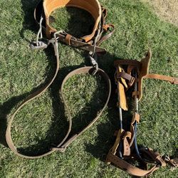 Klein Professional Gaffs And Safety Belt