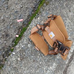 Medium Size Dog Training Harness