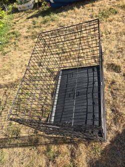 Dog Crate, Double Door, Folding