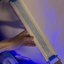 Fish Tank Light