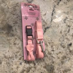 PET COLLAR & LEASH SET