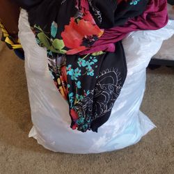 Big Bag Ladies Clothes Size LG AND XL