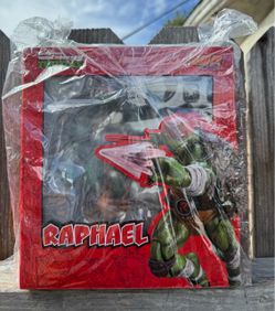 TMNT Raphael Action Figure in Box