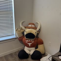 Bevo (Need Gone Today)