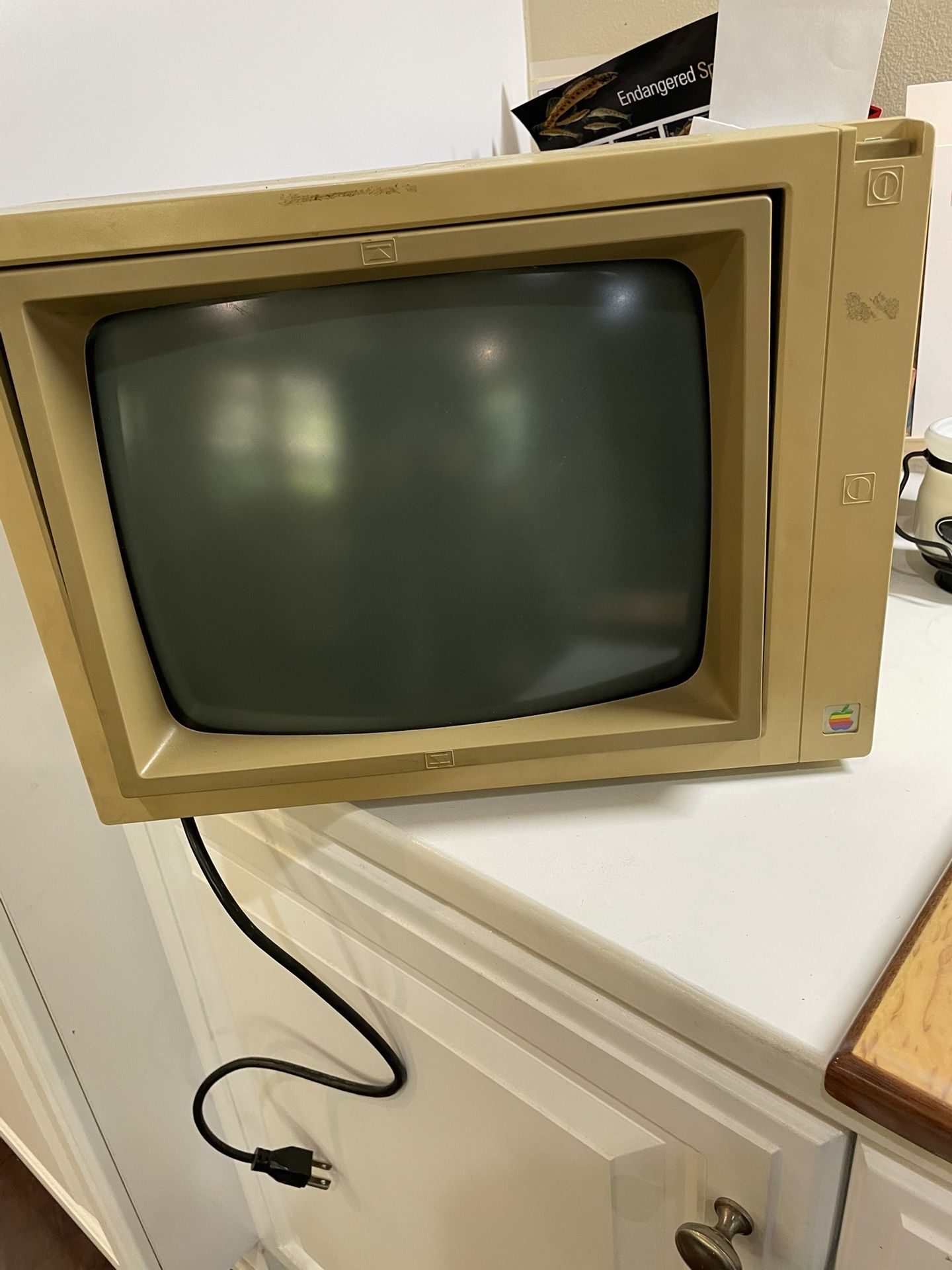 Vintage Apple Computer monitor