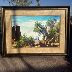 Large Frame Great For Office  