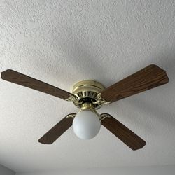 Fan