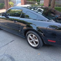 2005 Black Mustang 
