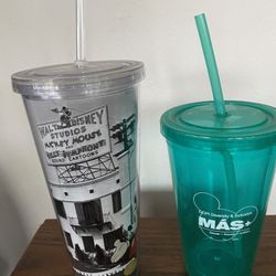 Unique Walt Disney Tumblers & Straws BPA Free (only $5 to get both) )