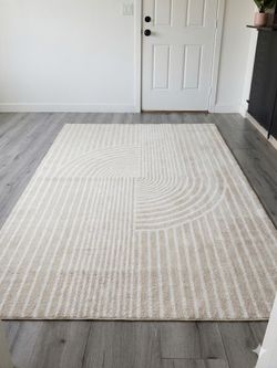 Abani "Nuevo" 6x9 Area Rug - Freshly Professional Cleaned!