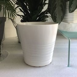 White Stripe Tall Ceramic Planter Pot With Drainage Hole