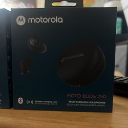 Motorola Ear Buds 250 