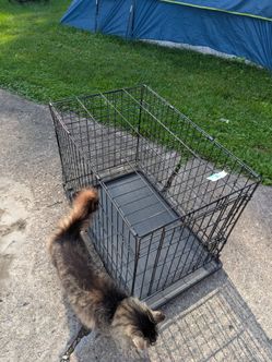 Black Wire Dog Crate with Tray