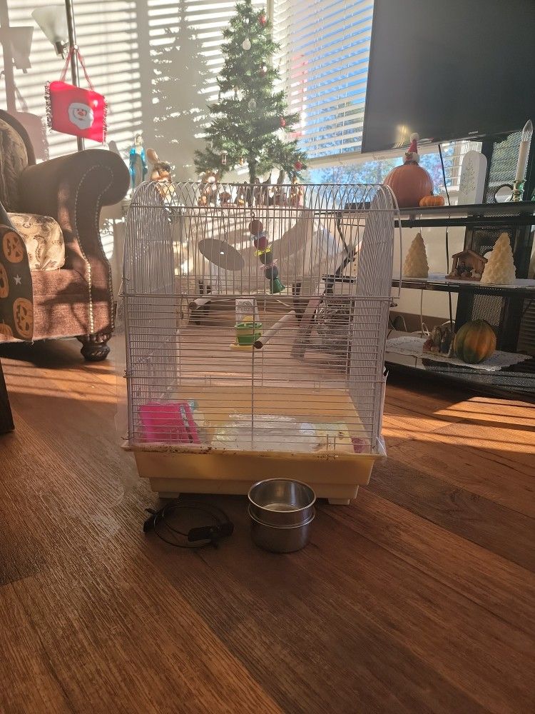 Bird Cage 