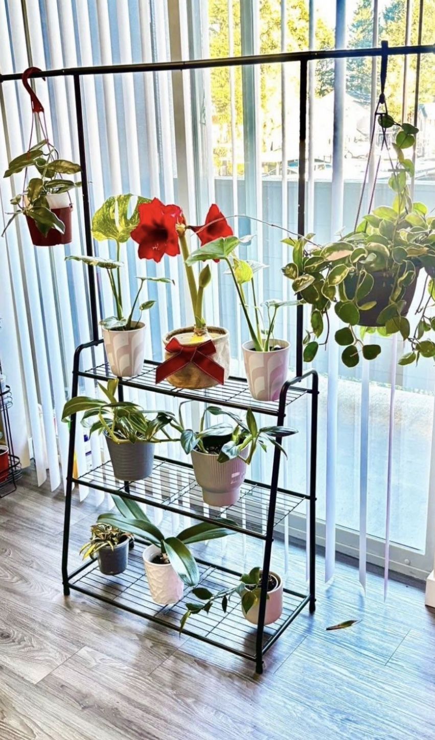 Plant Stand width 29, depth 13, hight 64