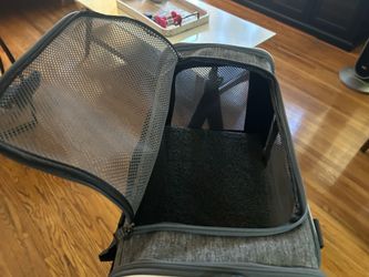 Gray Cat carrier