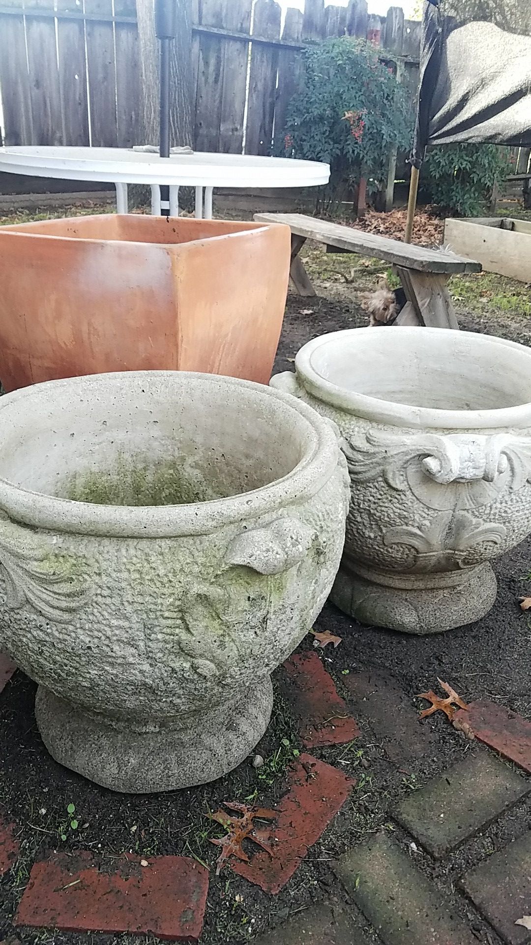 Large pots, planters