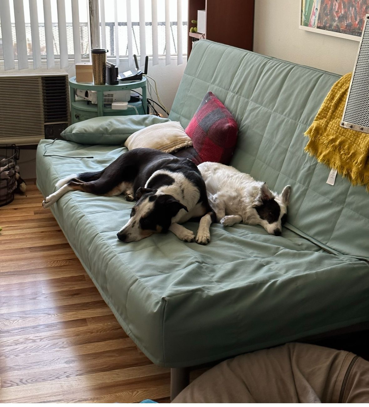 Free Ikea Beddinge Lovas Couch / Futon