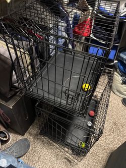 Kennel