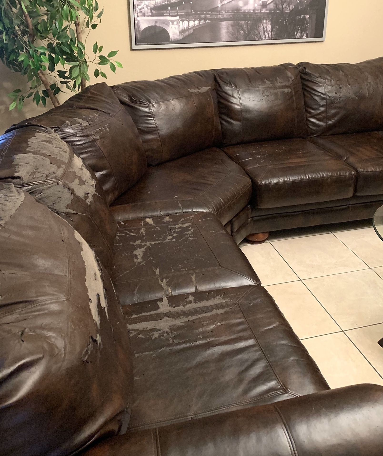 Free Dark Brown Large Sectional- It’s Peeling