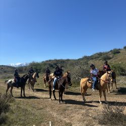 Trail Ride 