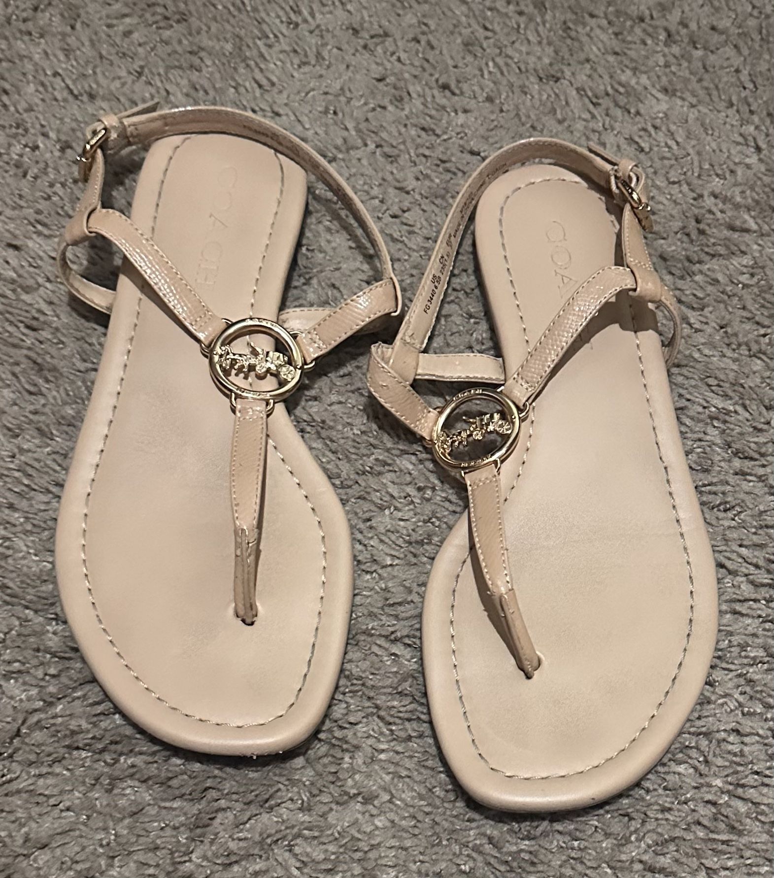 Coach 6.5