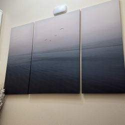 3 Piece Canvas Art