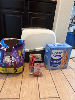 Cat litter and supplies for a cat