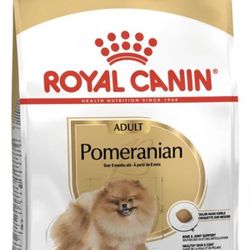 Pomeranian 