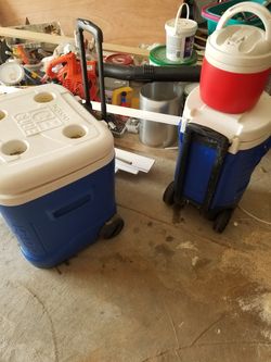 Cooler
