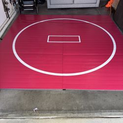 10X10 Wrestling Jiujitsu MMA Mat