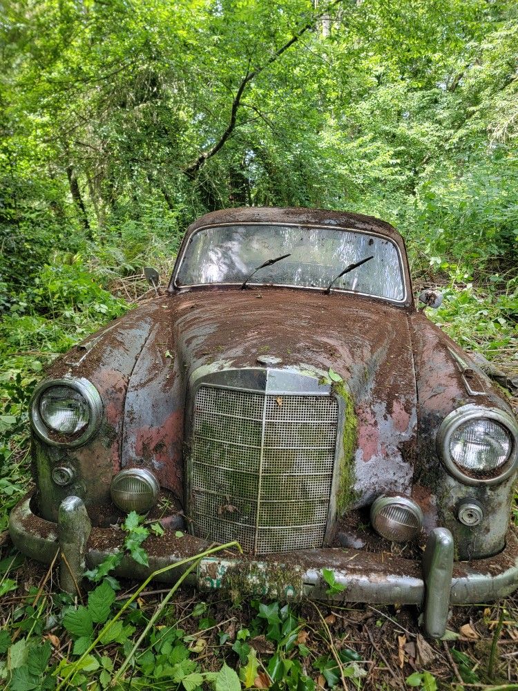 Mercedes Benz