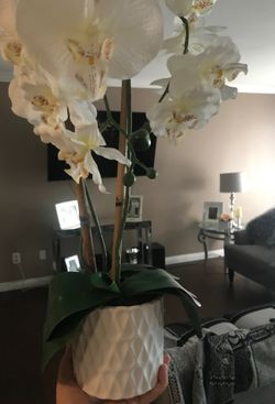Orchid center piece