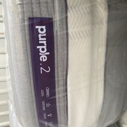 Purple Queen .2 only 30 days old