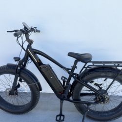 Fat Tire E Bike/Electric Bike