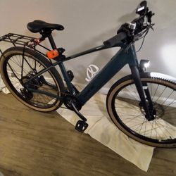 FX+1S Trek Ebike (Price Negotiable)
