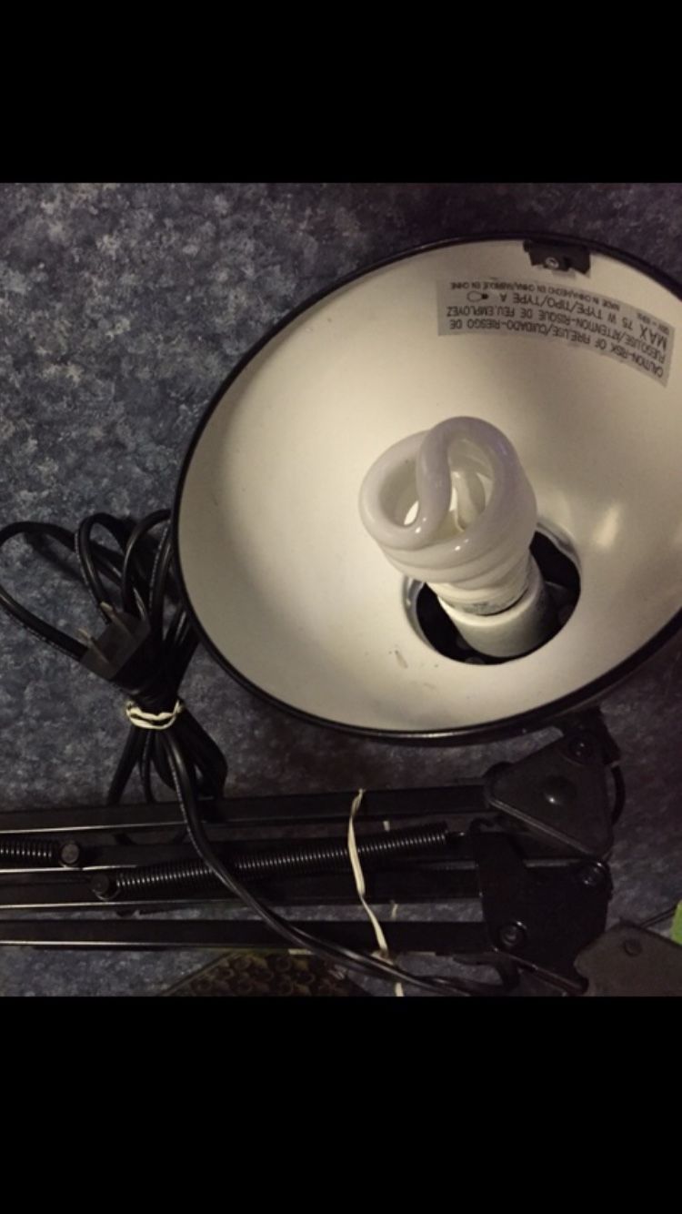 Desk Lamp