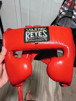 Cleto Reyes cheek protector head gear