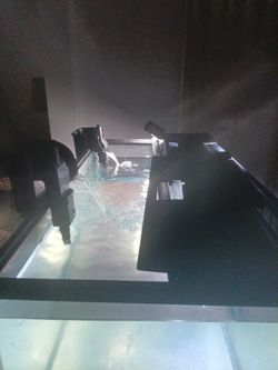 fish tank