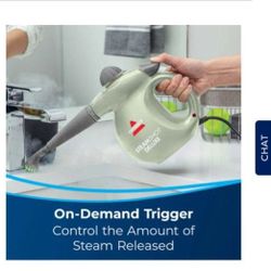 Bissell Steam Shot Cleaner