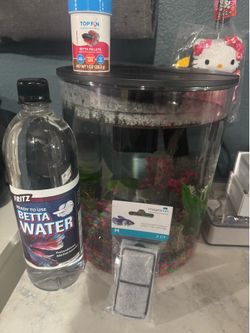 Betta fish tank