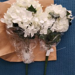 21' Hydrangea Bush / Flower Cream White