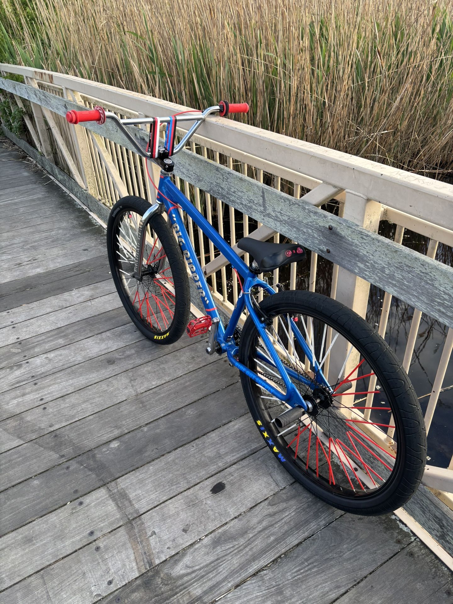 City Grounds X Se Bike Big Ripper