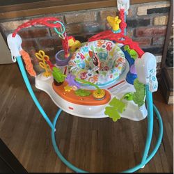 Fisher-Price Baby Activity Jumper – Colorful Animal Theme