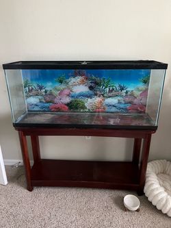 •$40• for a 55 gallon aquarium & stand