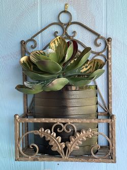 Wall Mounted Plant Stand 
